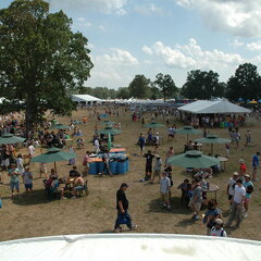 Bonnaroo 2004