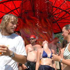 Bonnaroo 2004