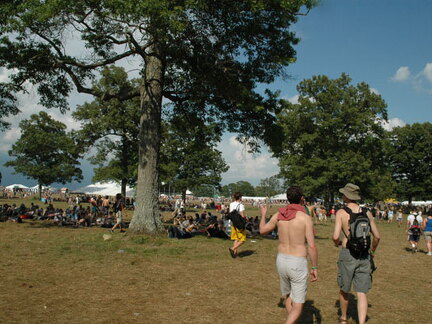 Bonnaroo 2004