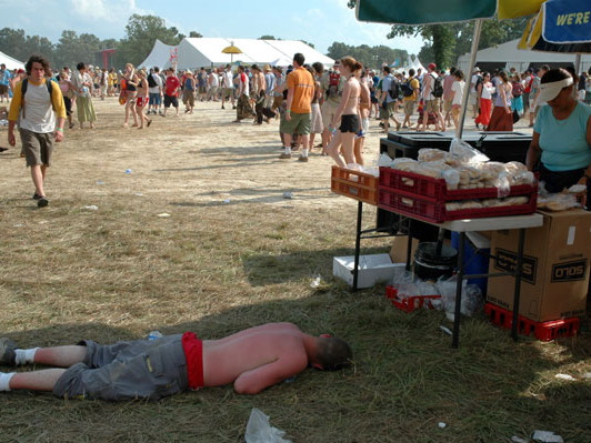 Bonnaroo 2004