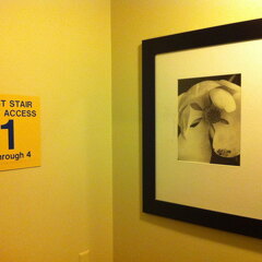 iPad Deployment 2010