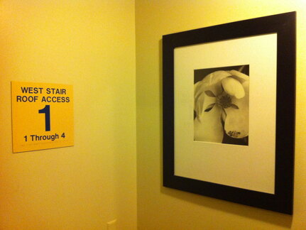 iPad Deployment 2010