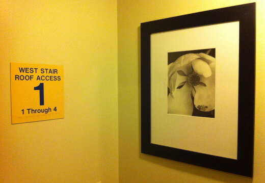 iPad Deployment 2010