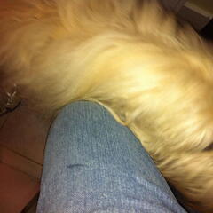 iPad Deployment 2010