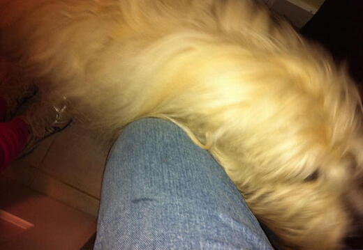 iPad Deployment 2010