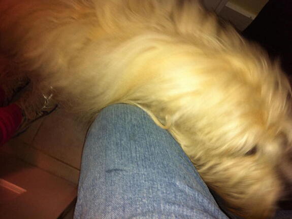 iPad Deployment 2010