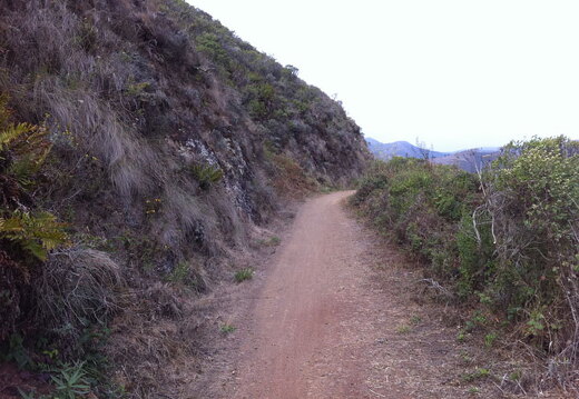 iPad Deployment 2010