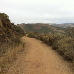 iPad Deployment 2010