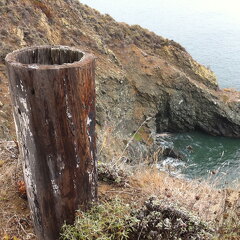 iPad Deployment 2010