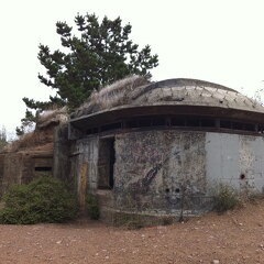 iPad Deployment 2010