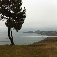 iPad Deployment 2010