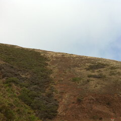 iPad Deployment 2010