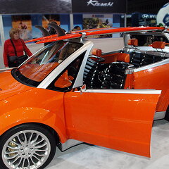 Chicago Auto Show 2010