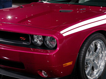 Chicago Auto Show 2010