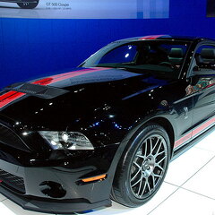 Chicago Auto Show 2010