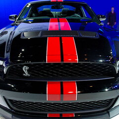 Chicago Auto Show 2010