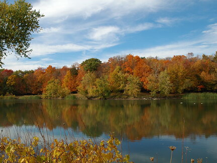 Des Plaines River Trail