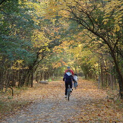 Des Plaines River Trail