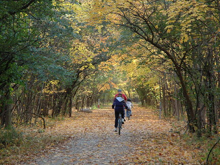 Des Plaines River Trail