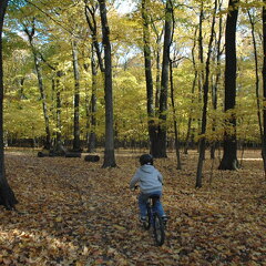 Des Plaines River Trail