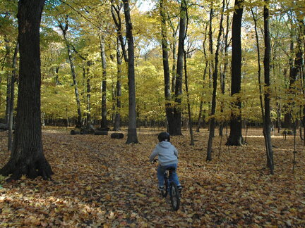 Des Plaines River Trail