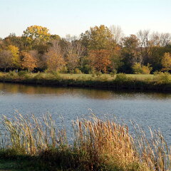 Des Plaines River Trail