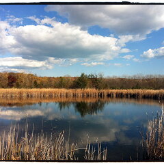 Des Plaines River Trail
