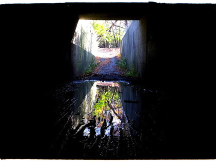 Des Plaines River Trail