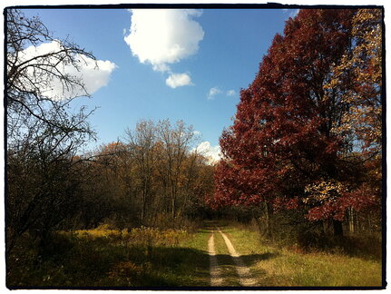 Des Plaines River Trail