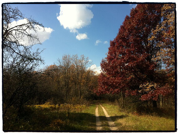 Des Plaines River Trail