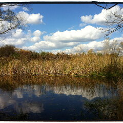 Des Plaines River Trail