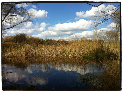 Des Plaines River Trail