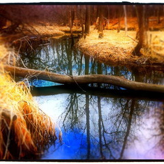 Des Plaines River Trail