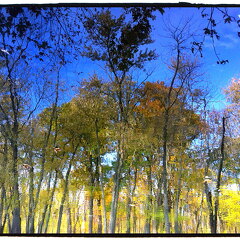 Des Plaines River Trail