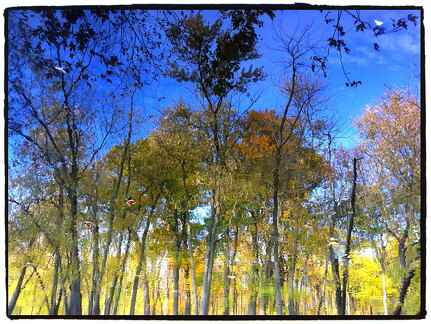 Des Plaines River Trail