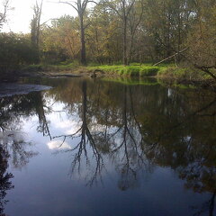 Des Plaines River Trail