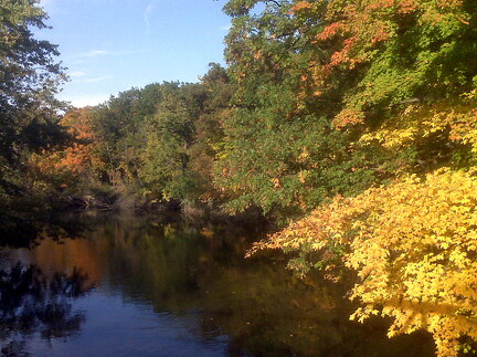 Des Plaines River Trail