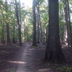 Des Plaines River Trail
