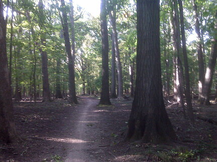 Des Plaines River Trail