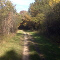 Des Plaines River Trail