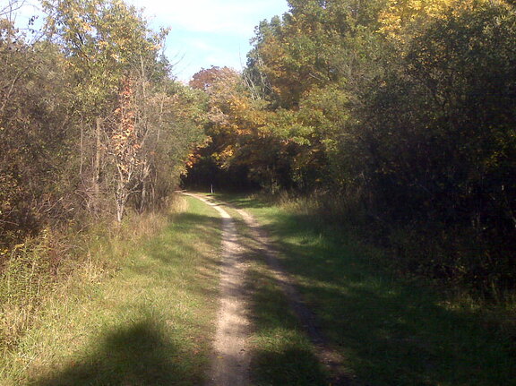 Des Plaines River Trail