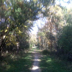 Des Plaines River Trail