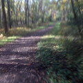 Des Plaines River Trail