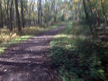 Des Plaines River Trail