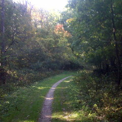 Des Plaines River Trail
