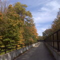 Des Plaines River Trail