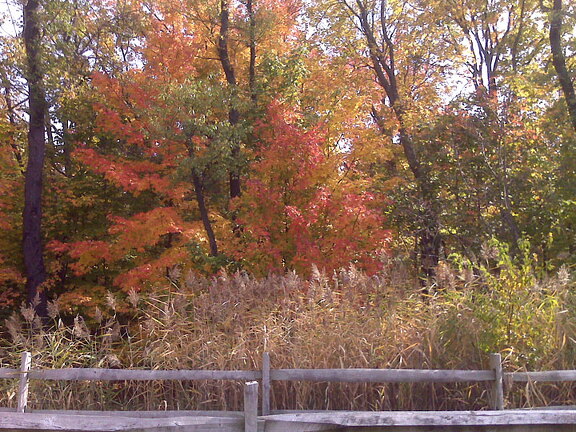 Des Plaines River Trail