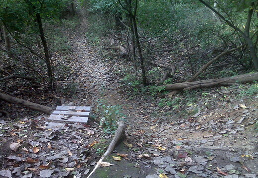 Des Plaines River Trail