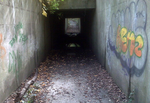 Des Plaines River Trail