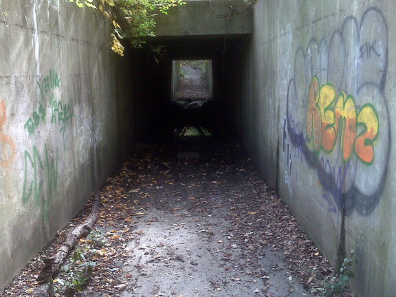 Des Plaines River Trail